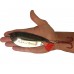 Блесна JENZI Siluro Catfish spoon 100g